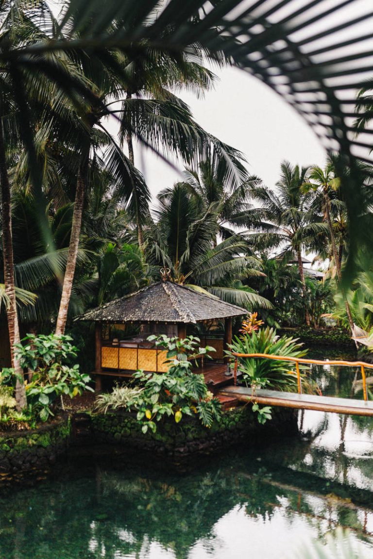 Travelling to US on Tourist Visa? You Can Apply For Jobs Now