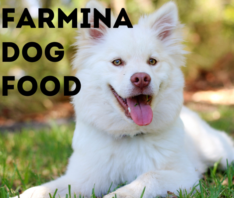 farmina dog food